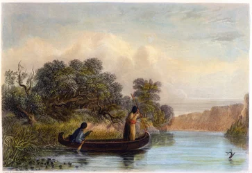 Fische mit einem Kanu speeren, 1853